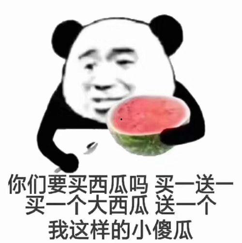 谁敢惹我 表情包
